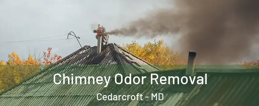 Chimney Odor Removal Cedarcroft - MD