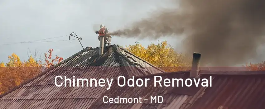 Chimney Odor Removal Cedmont - MD