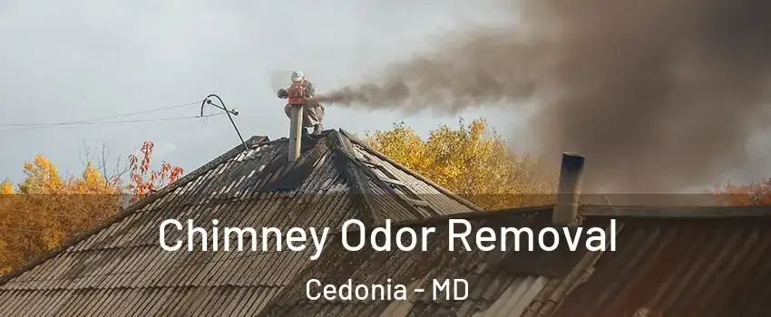 Chimney Odor Removal Cedonia - MD