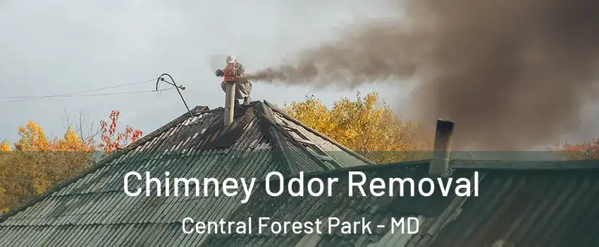 Chimney Odor Removal Central Forest Park - MD
