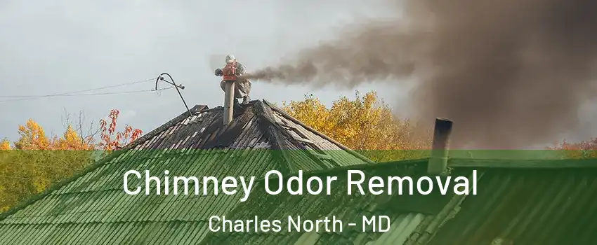 Chimney Odor Removal Charles North - MD