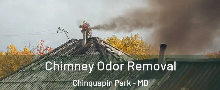 Chimney Odor Removal Chinquapin Park - MD