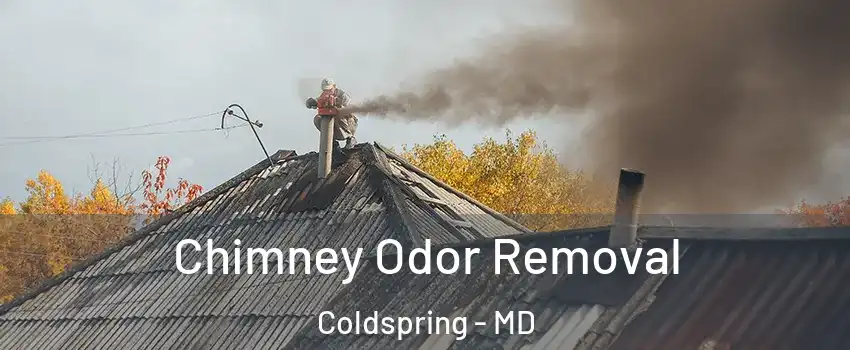 Chimney Odor Removal Coldspring - MD
