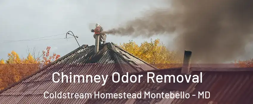 Chimney Odor Removal Coldstream Homestead Montebello - MD