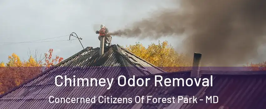 Chimney Odor Removal Concerned Citizens Of Forest Park - MD
