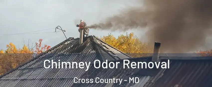 Chimney Odor Removal Cross Country - MD