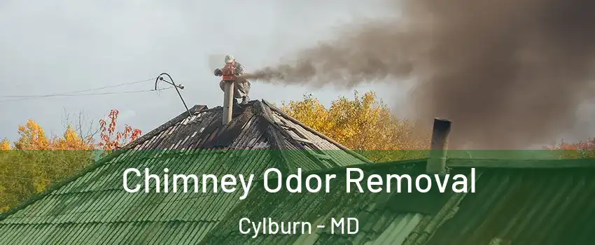 Chimney Odor Removal Cylburn - MD