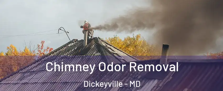 Chimney Odor Removal Dickeyville - MD
