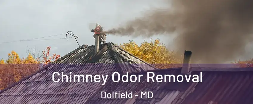 Chimney Odor Removal Dolfield - MD