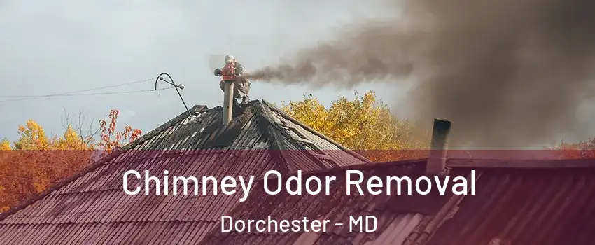 Chimney Odor Removal Dorchester - MD