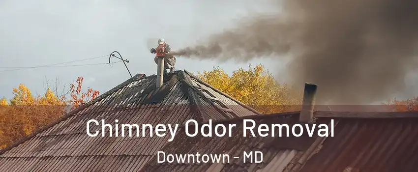 Chimney Odor Removal Downtown - MD