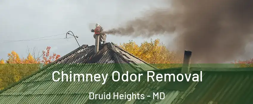 Chimney Odor Removal Druid Heights - MD