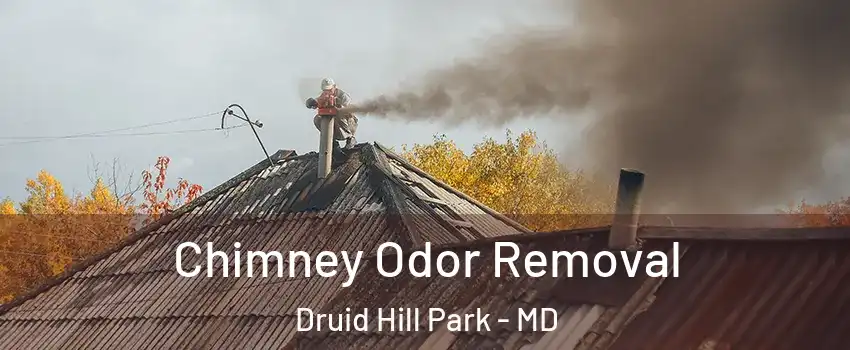 Chimney Odor Removal Druid Hill Park - MD