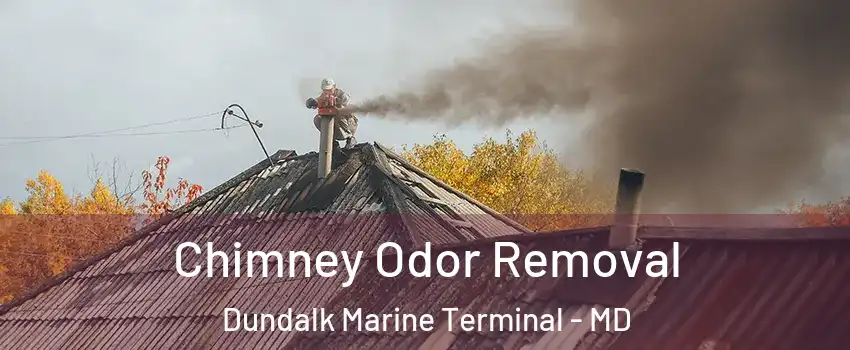 Chimney Odor Removal Dundalk Marine Terminal - MD