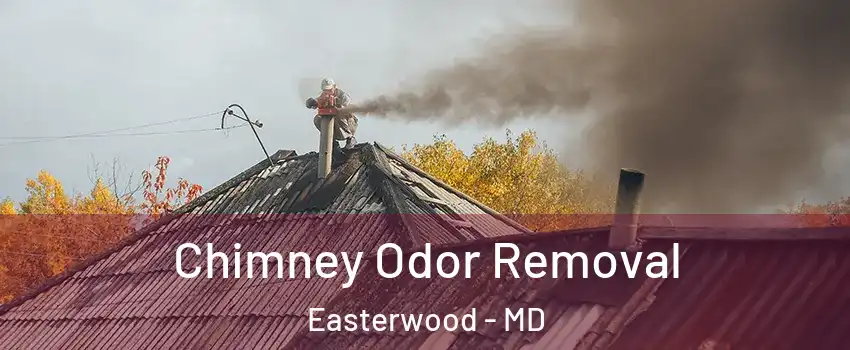 Chimney Odor Removal Easterwood - MD