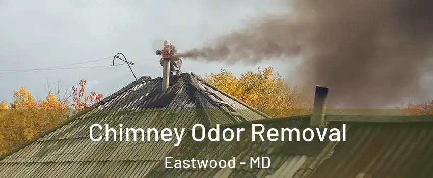 Chimney Odor Removal Eastwood - MD