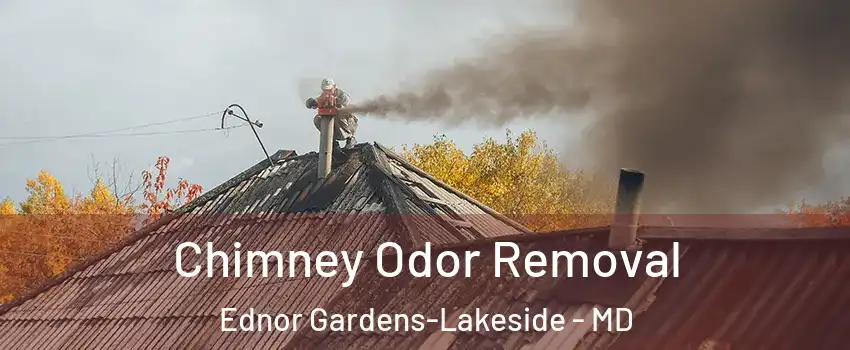Chimney Odor Removal Ednor Gardens-Lakeside - MD