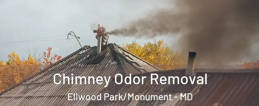 Chimney Odor Removal Ellwood Park/Monument - MD