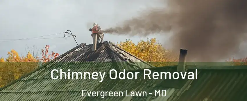 Chimney Odor Removal Evergreen Lawn - MD