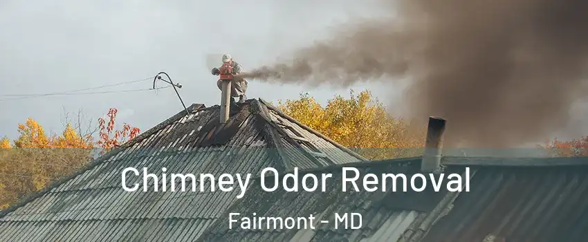 Chimney Odor Removal Fairmont - MD