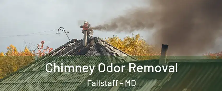 Chimney Odor Removal Fallstaff - MD