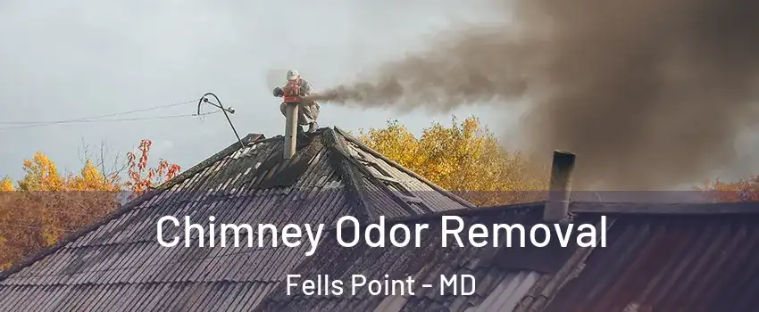 Chimney Odor Removal Fells Point - MD