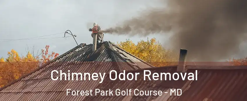 Chimney Odor Removal Forest Park Golf Course - MD