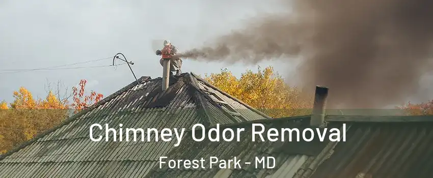 Chimney Odor Removal Forest Park - MD