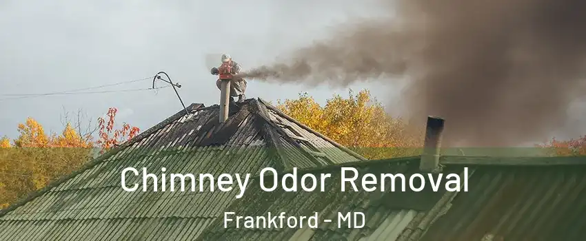 Chimney Odor Removal Frankford - MD
