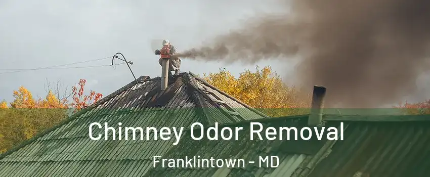 Chimney Odor Removal Franklintown - MD