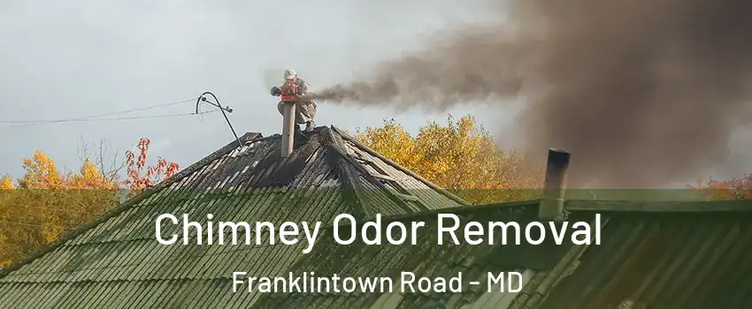 Chimney Odor Removal Franklintown Road - MD