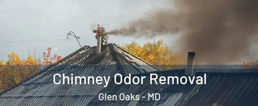 Chimney Odor Removal Glen Oaks - MD