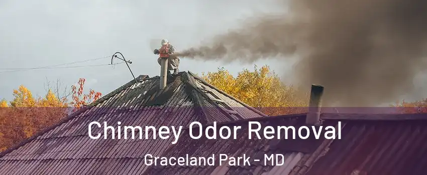 Chimney Odor Removal Graceland Park - MD