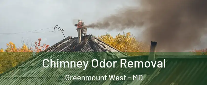 Chimney Odor Removal Greenmount West - MD
