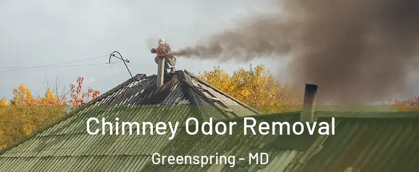 Chimney Odor Removal Greenspring - MD