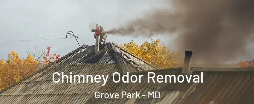 Chimney Odor Removal Grove Park - MD