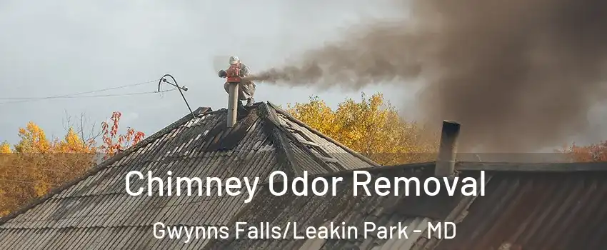 Chimney Odor Removal Gwynns Falls/Leakin Park - MD