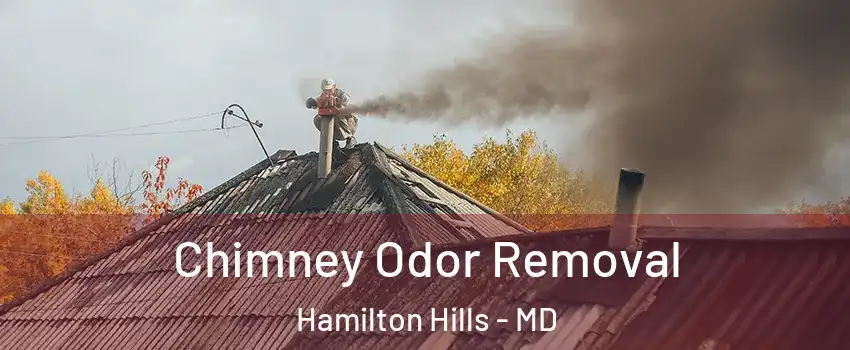Chimney Odor Removal Hamilton Hills - MD