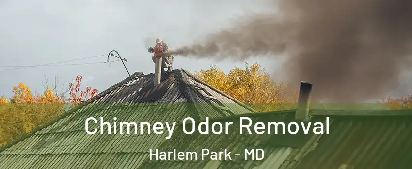 Chimney Odor Removal Harlem Park - MD