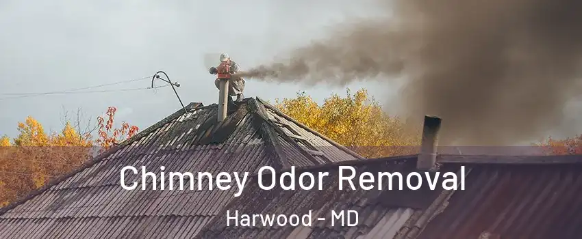 Chimney Odor Removal Harwood - MD