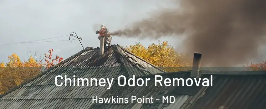 Chimney Odor Removal Hawkins Point - MD