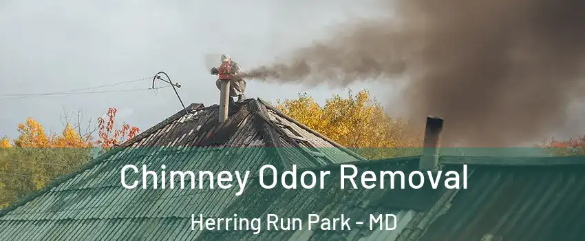 Chimney Odor Removal Herring Run Park - MD