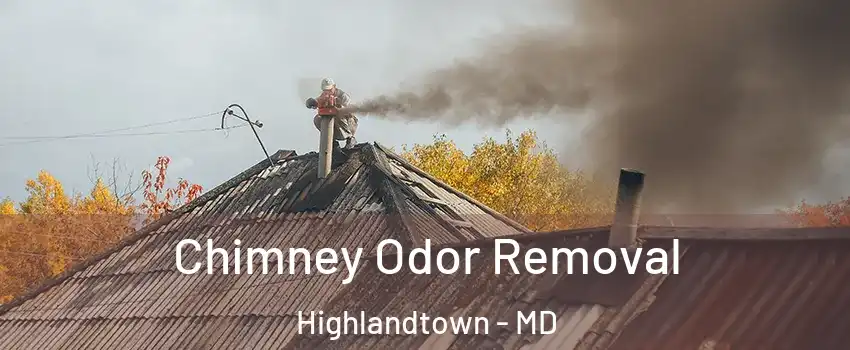 Chimney Odor Removal Highlandtown - MD