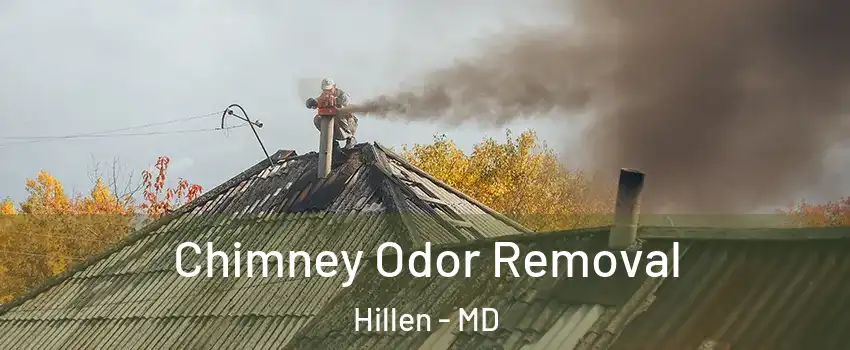 Chimney Odor Removal Hillen - MD