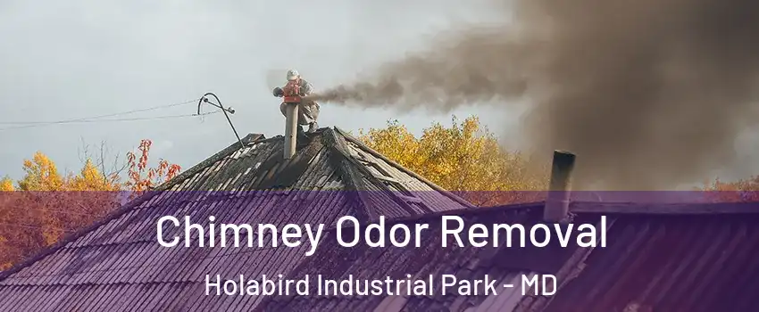 Chimney Odor Removal Holabird Industrial Park - MD