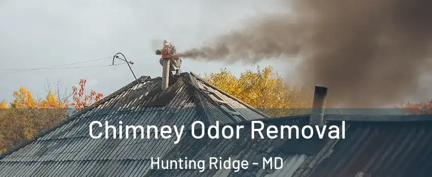 Chimney Odor Removal Hunting Ridge - MD