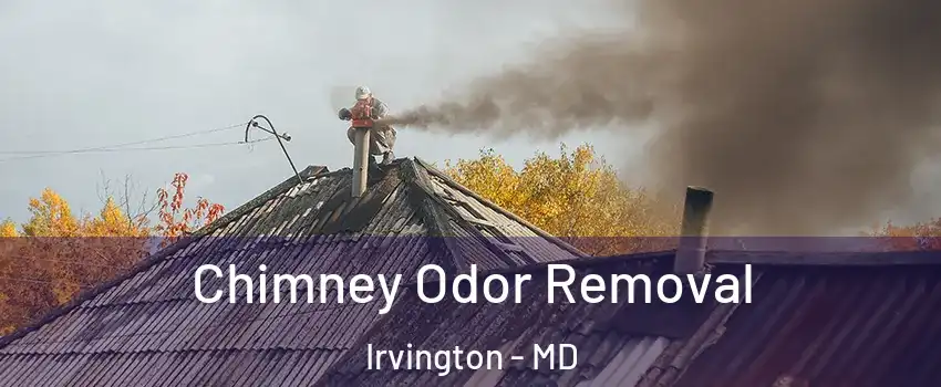 Chimney Odor Removal Irvington - MD