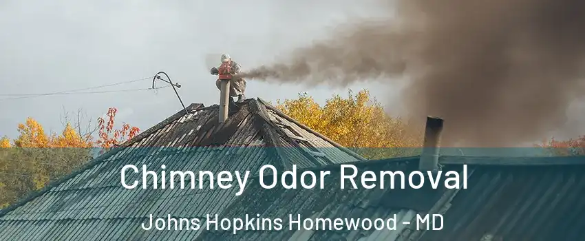 Chimney Odor Removal Johns Hopkins Homewood - MD