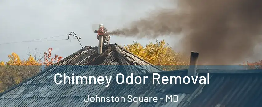 Chimney Odor Removal Johnston Square - MD