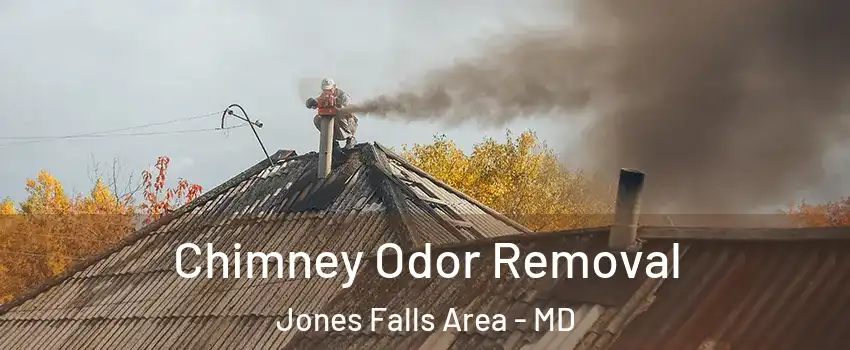 Chimney Odor Removal Jones Falls Area - MD